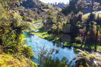 Blue Pool in New Zealand. Clear blue river near Hokitika. Beautiful natural landscapes.