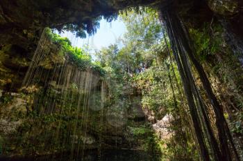Unusual natural tropical  landscapes - Ik-Kil Cenote,  Mexico