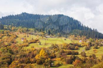 Autumn landscapes in Carpathian mountains, Ukraine