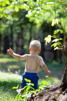 Little boy do his first steps  in summer park