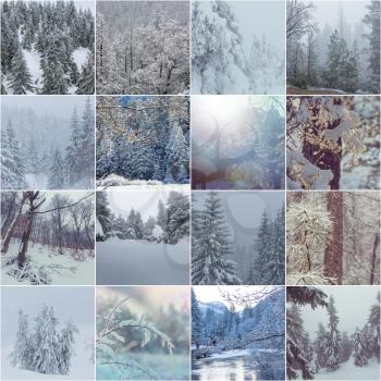 Winter landscapes christmas background collage