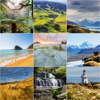 Photo collage of  New Zealand landscapes