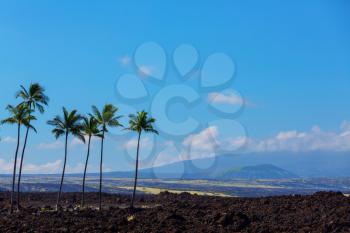 Volcanic landscapes on Big island, Hawaii