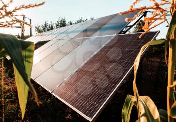 solar panels in power station alternative energy from the sun 