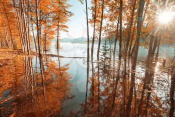The beautiful lake in Autumn season