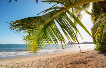Beautiful summer landscapes  on the tropical beach