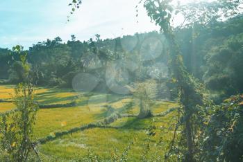 Rural tropical landscapes in Palawan island, Philippines.