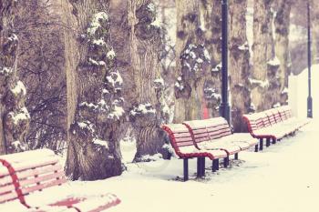 bench in winter