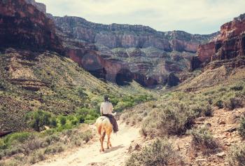 Horse hiking in Grand Canyon