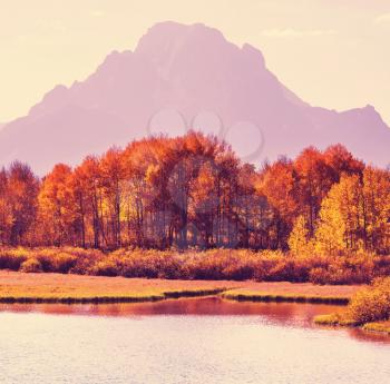  Autumn in Grand Teton with a Instagram toning effect