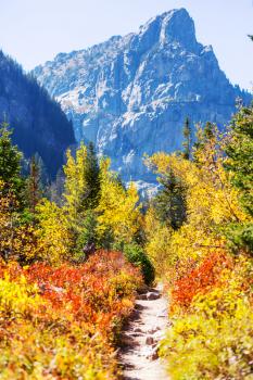  Autumn in Grand Teton National Park, Wyoming