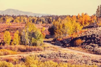  Autumn in Grand Teton National Park, Wyoming