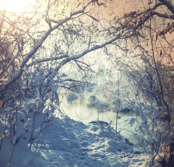 Winter creek