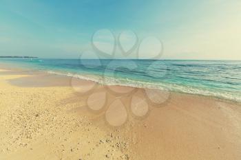 Beautiful ocean beach, instagram filter