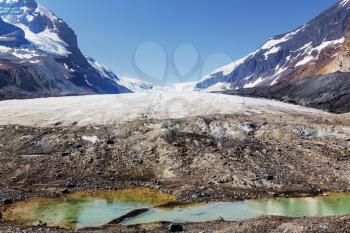 Athabasca Glacier in Jasper National Park,  Canada