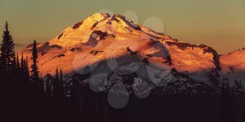 Glacier peak at sunrise, Washington, USA.Instagram filter.