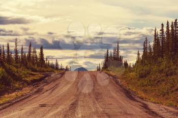 Landscapes on Denali highway.Alaska. Instagram filter.