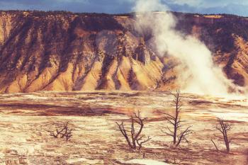 Mammoth Hot Springs in Yellowstone NP,USA