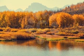 Autumn in Grand Teton National Park, Wyoming