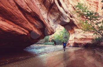 Hike in Coyote gulch, Grand Staircase-Escalante National Monument, Utah, United States
