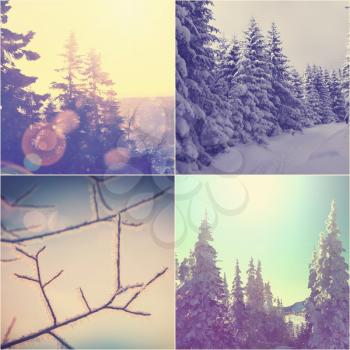 Winter vacation collage