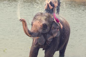 Elephant bathing in the river, Chitwan, Nepal