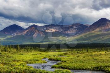 Mountains of Alaska in summer