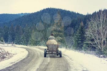 Cart in Carpathian mountains