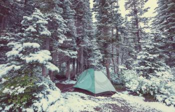 tent in snowy forest