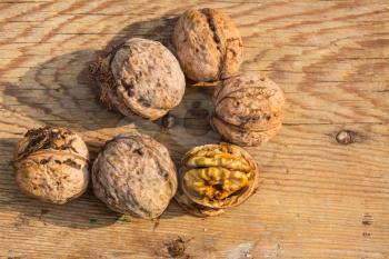 Whole walnuts and walnut kernels. New harvest, just cropped.
