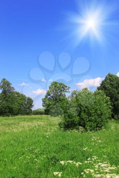 Beautiful field landscape with blue sky and sun