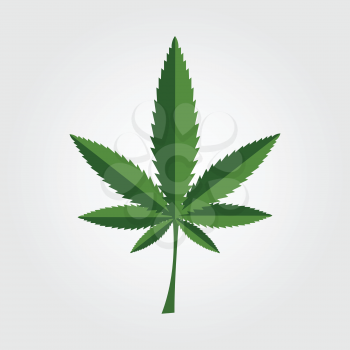 Green cannabis leaf icon design. Vector background