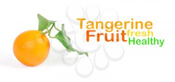 Royalty Free Photo of Tangerine