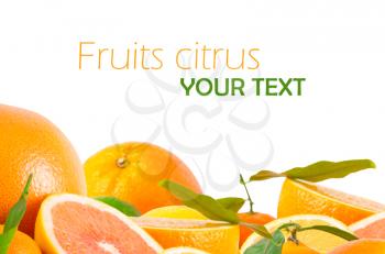 Royalty Free Photo of a Bunch of Citrus Fruits