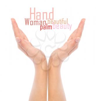 Royalty Free Photo of a Woman's Hands
