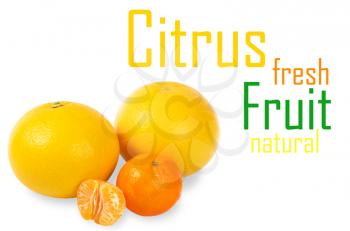 Royalty Free Photo of Citrus Fruit