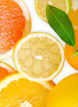 Royalty Free Photo of Citrus Fruit Slices