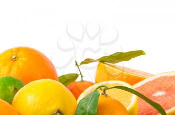 Fruits citrus on white
