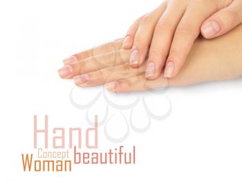 Beautiful female hands