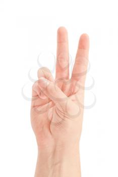 Hand with two fingers up in the peace or victory symbol. Also the sign for the letter V in sign language. Isolated on white.