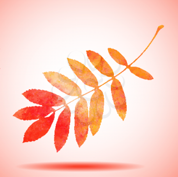 Orange watercolor painted vector rowan tree leaf