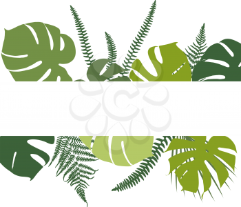 Tropical background with fern and monstera leaves