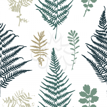 Vector illustration of fern seamless pattern