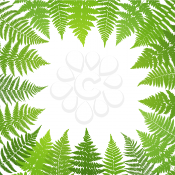 Jungle poster. Fern frond background. Vector illustration