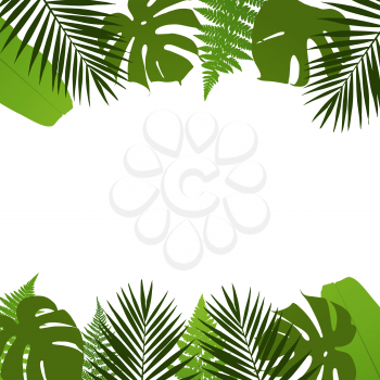 Tropical leaves background with palm,fern,monstera and banana leaves. Vector illustration