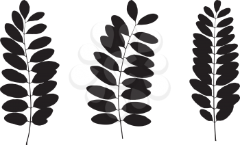 Set of black tree leaf silhouettes. Vector illustration