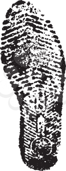 Black foot print silhouette.Vector illustration.
