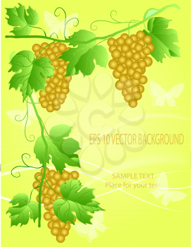 Royalty Free Clipart Image of Grapevines
