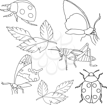 Royalty Free Clipart Image of a Bunch of Insects