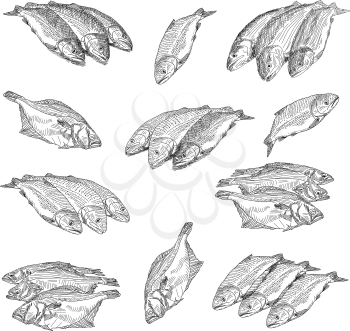 Royalty Free Clipart Image of a Bunch of Fish